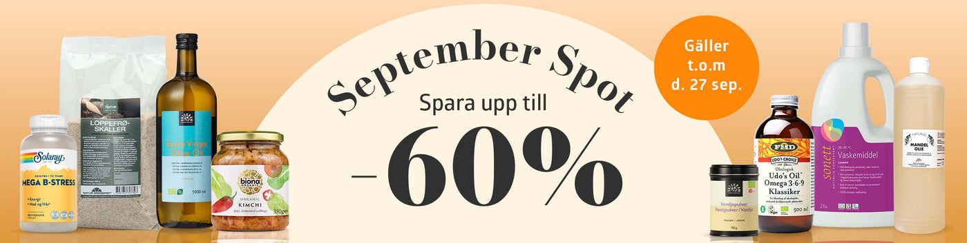 September Spot