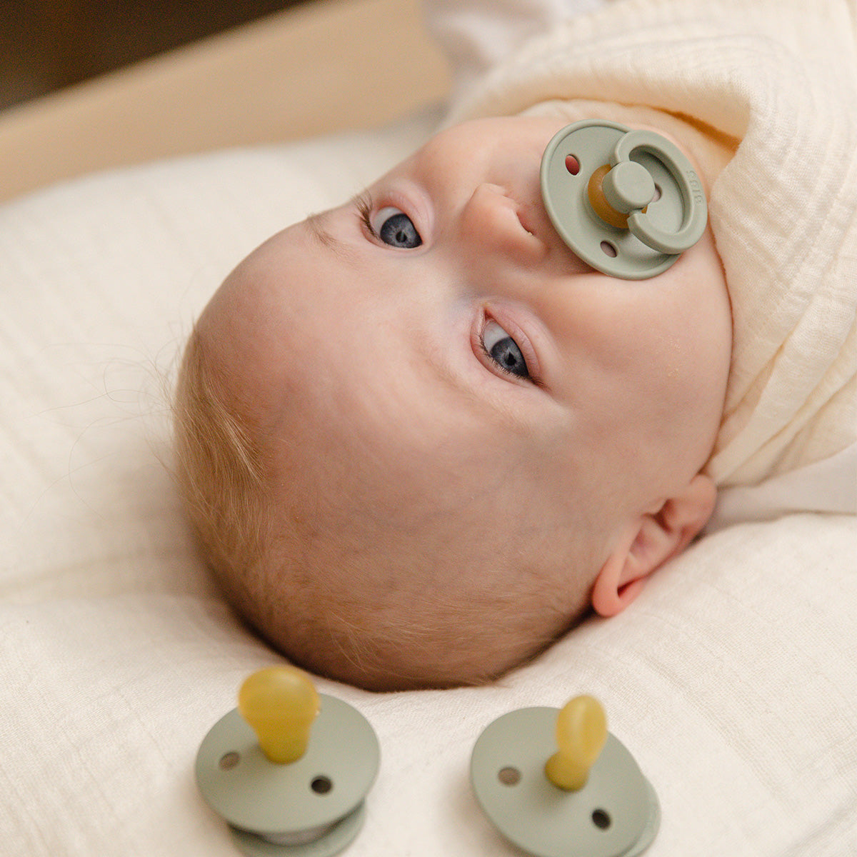 Colour Latex 6mån+ (Salvia/Jägargrön) 2 st