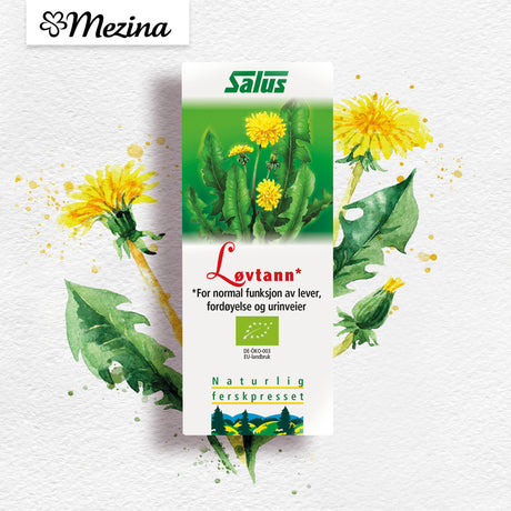 Maskros Schönenberger EKO