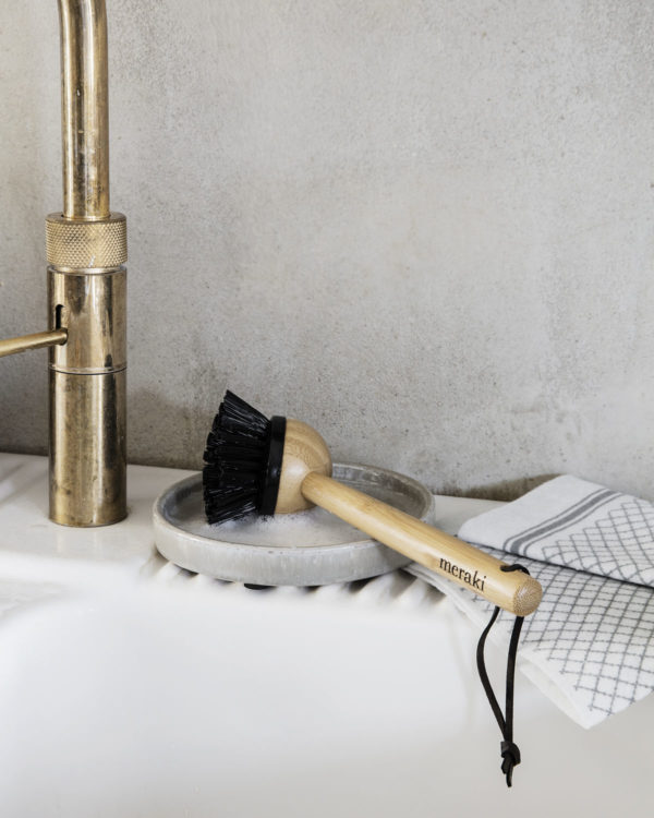 Dish Brush