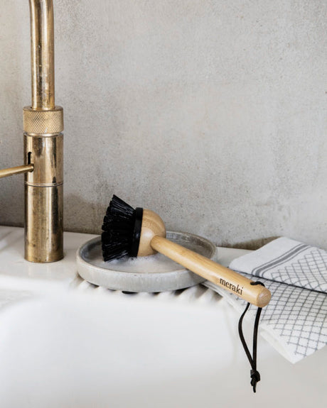 Dish Brush