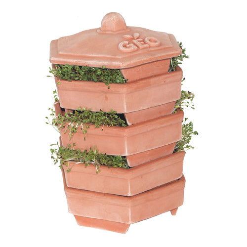 Groddkärl I Terracotta