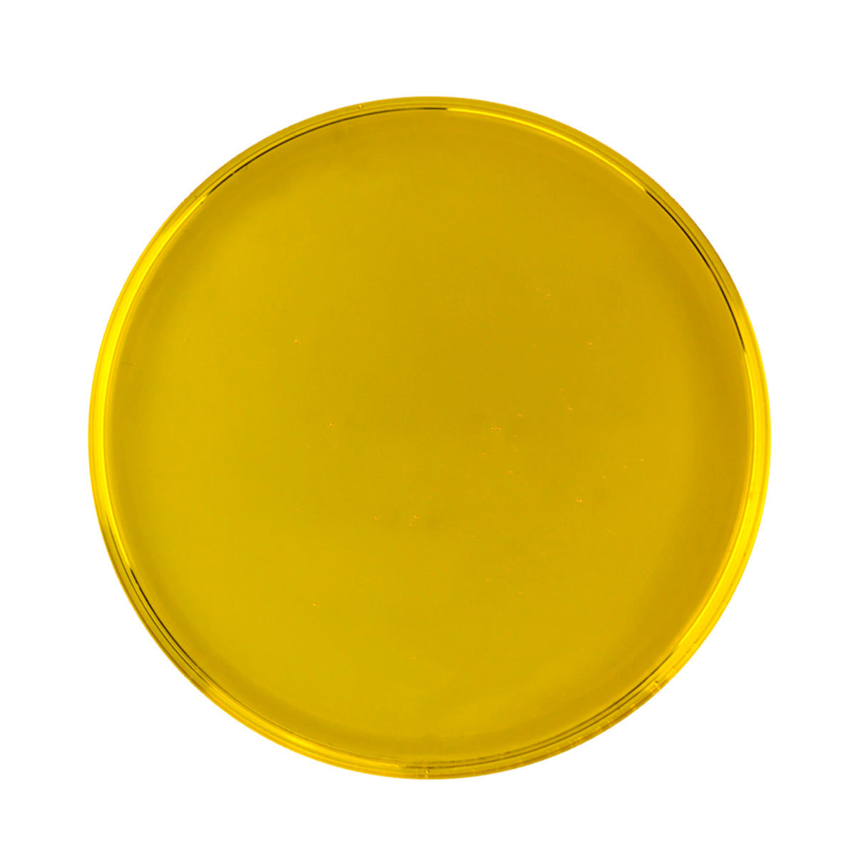 Ekologisk Hallonfröolja