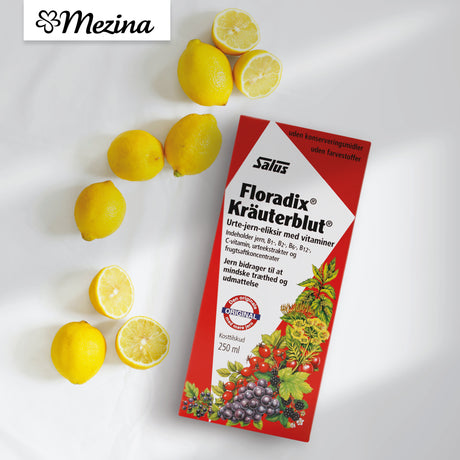 Floradix Kräuterblut Örtjärnsmixtur