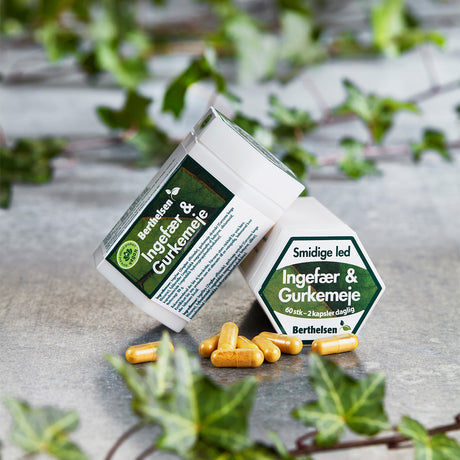 Ingefära och Gurkmeja