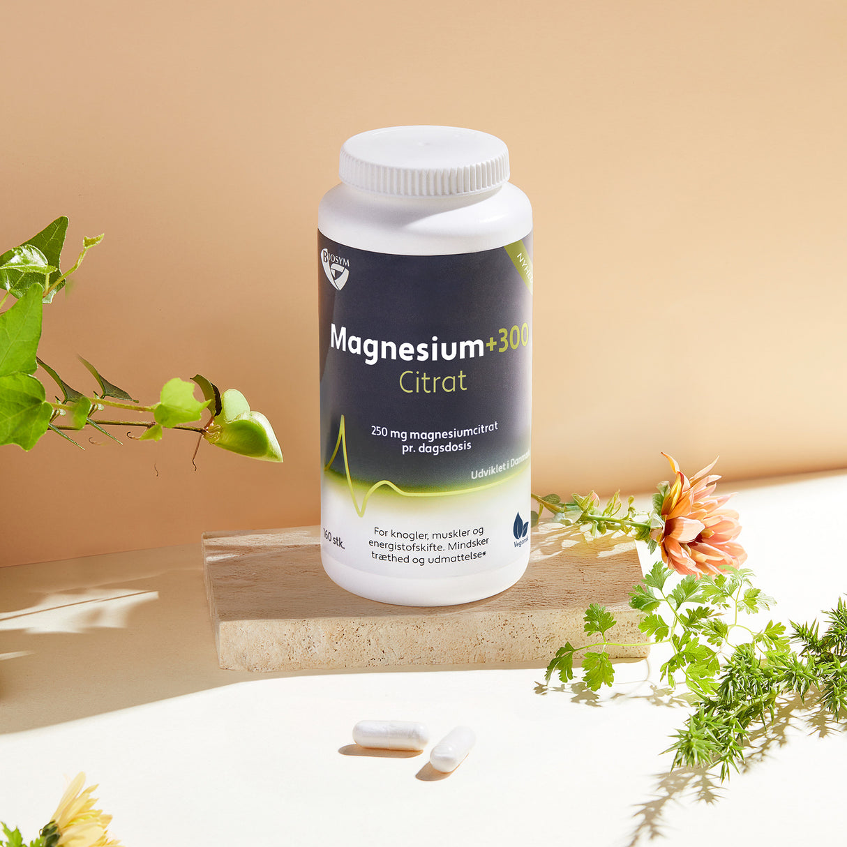 Magnesium+300 Citrat