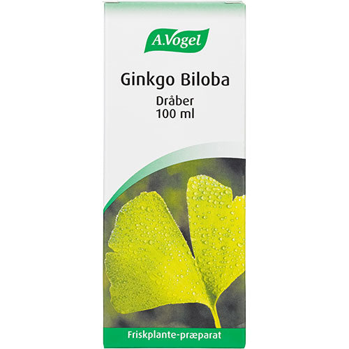 Ginkgo Biloba