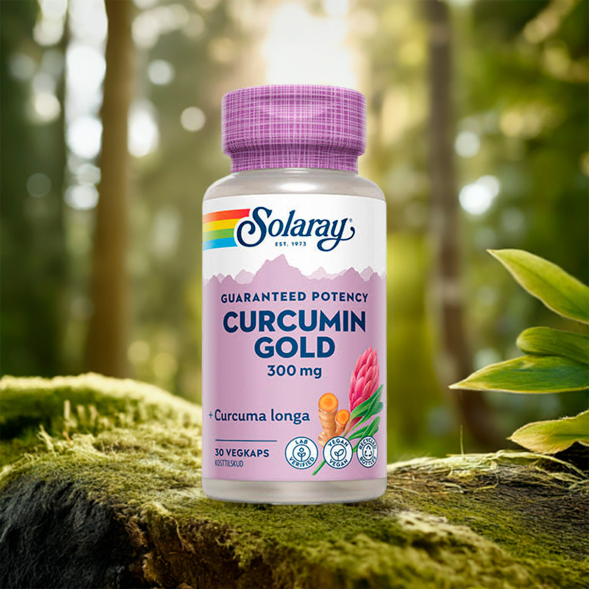 Curcumin Gold Gurkmeja