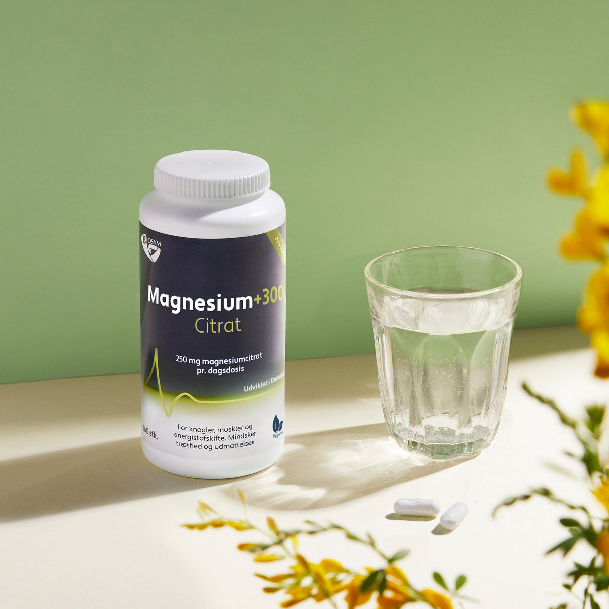 Magnesium+300 Citrat