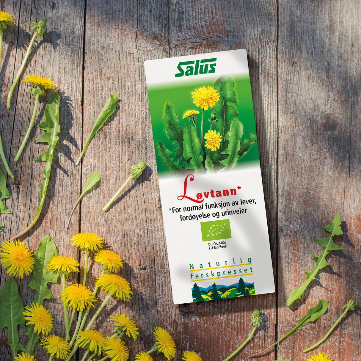 Maskros Schönenberger EKO