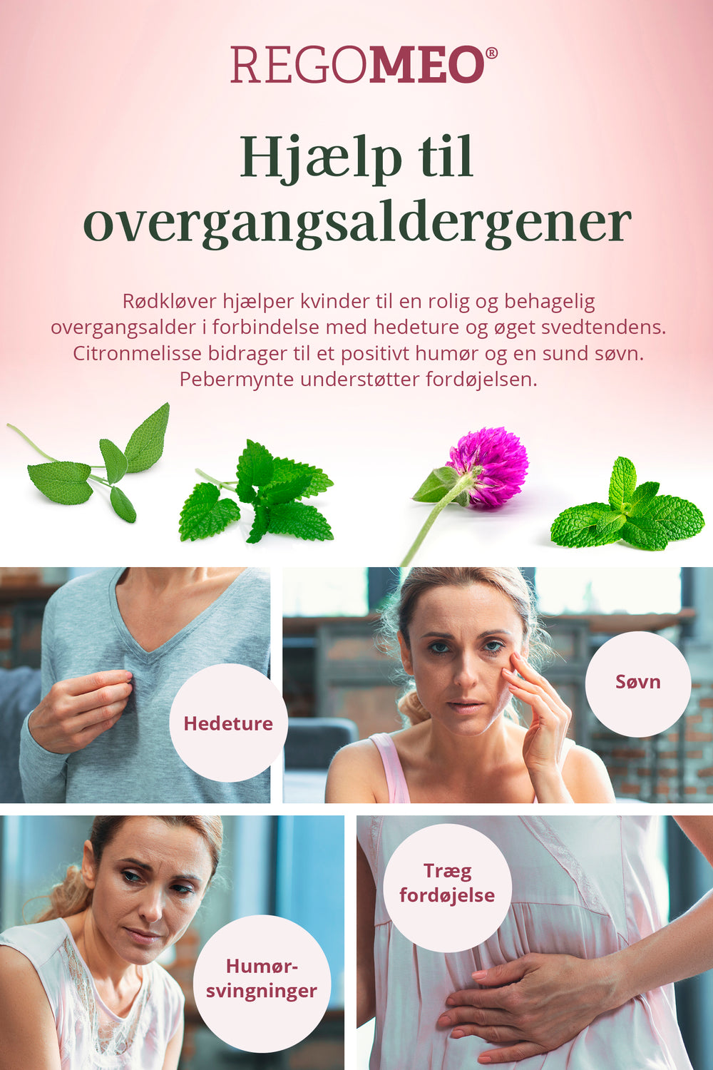 REGOMEO Rödklöverextrakt Ekologisk