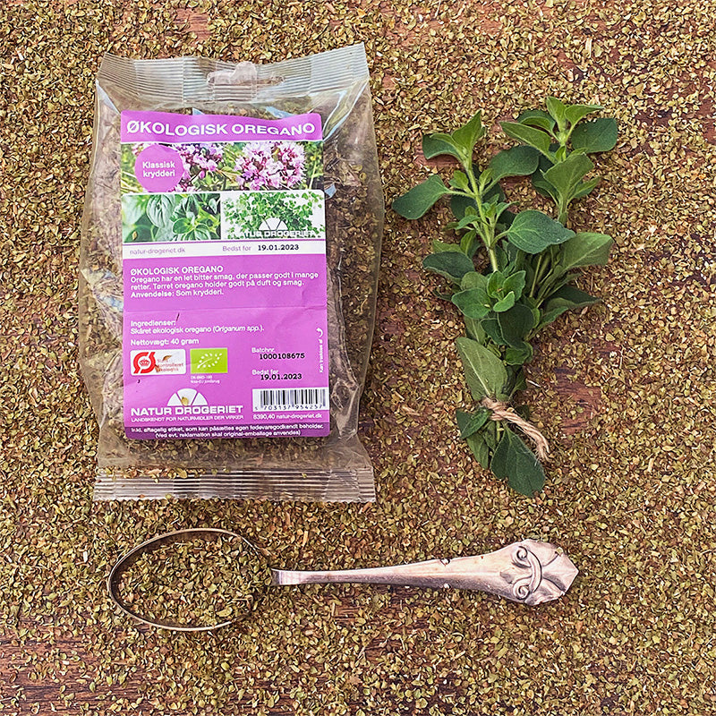 Oregano Eko