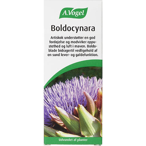 Boldocynara