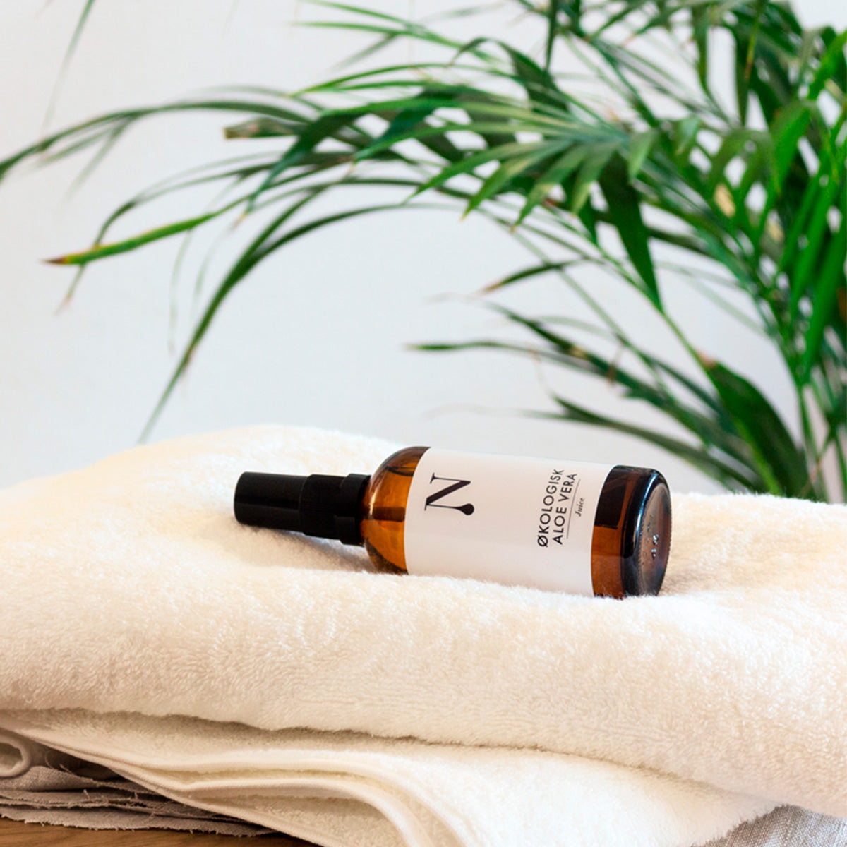 Ekologisk Aloe Vera