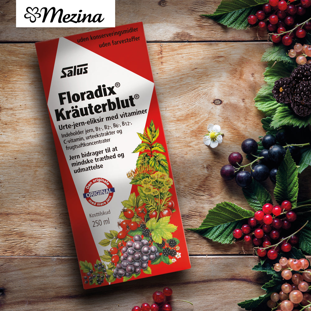 Floradix Kräuterblut Örtjärnsmixtur