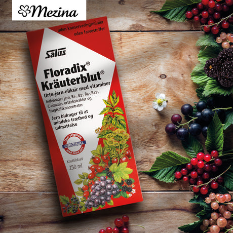 Floradix Kräuterblut Örtjärnsmixtur