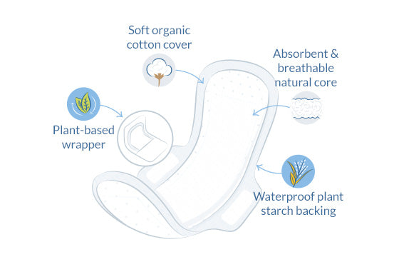Ultra Extra Bind Normal
