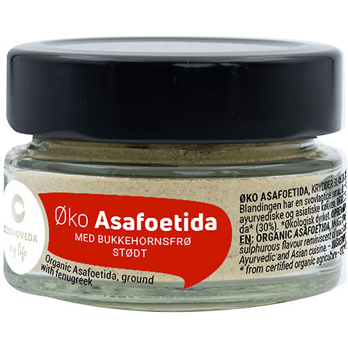 Asafoetida Lökersättning Eko