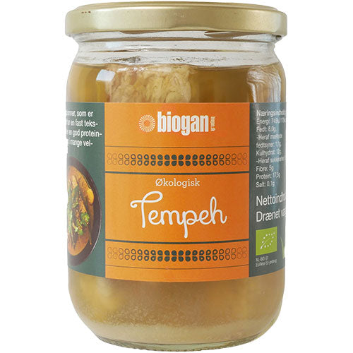 Tempeh EKO