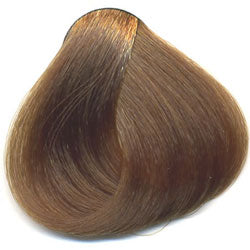 79 Hårfärg Light Naturlig Blond