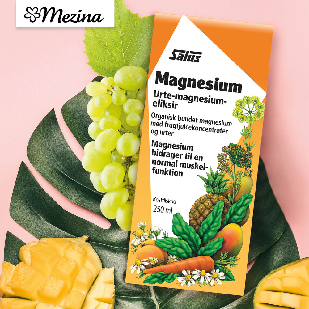 Floradix Magnesium