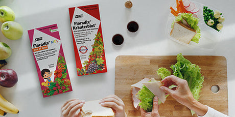 Floradix Kräuterblut Järntillskott