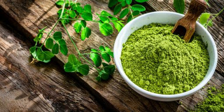 Moringa – Vad är det?