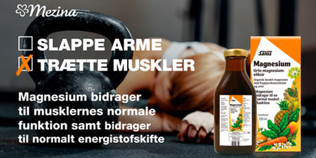 Alla fördelar med Salus Magnesium