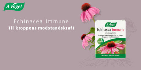 Känner du till Echinacea Immune från A.Vogel?