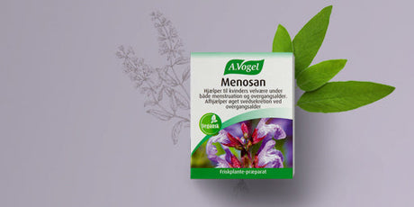 Övergångsålder med Menosan från A.Vogel