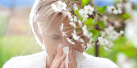 Pollen, pollenallergi och hösnuva
