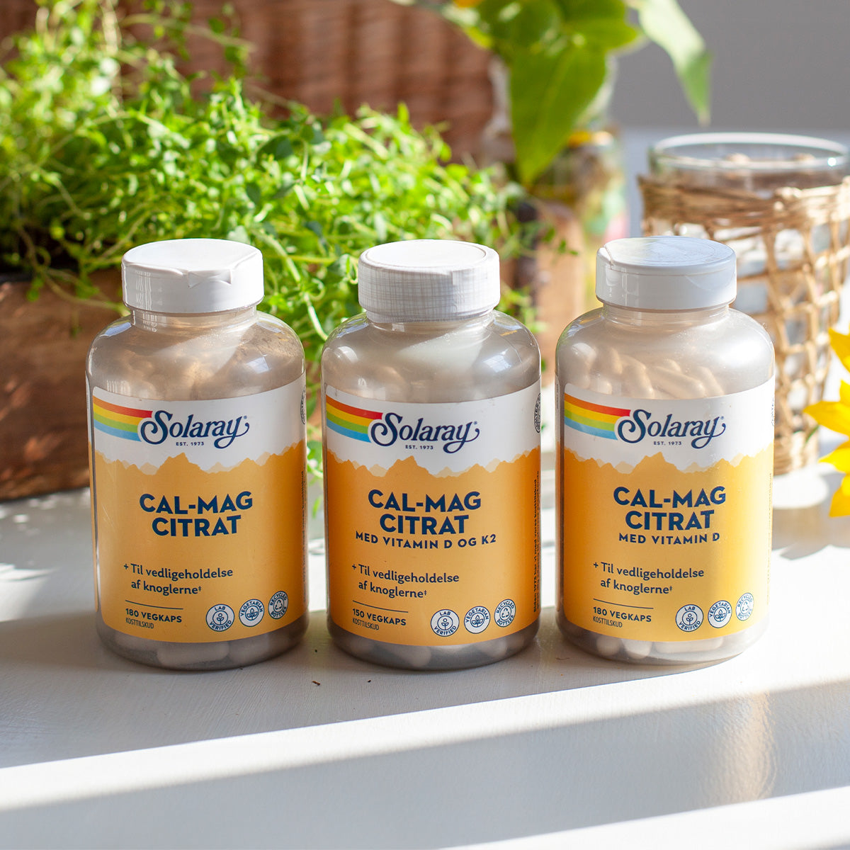 Cal-Mag Citrat med Vitamin D + K2