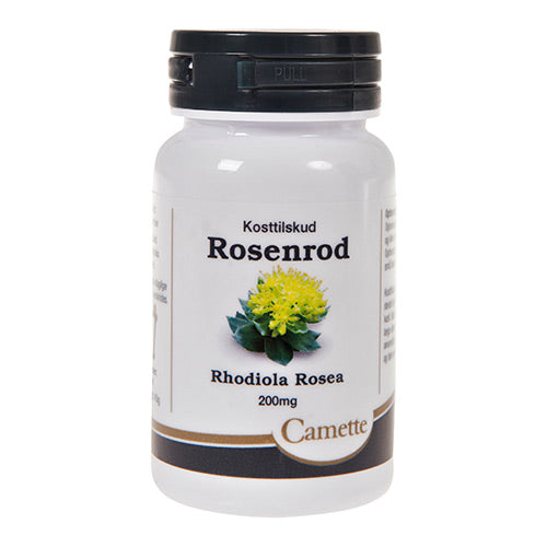Rosenrot Rhodiola