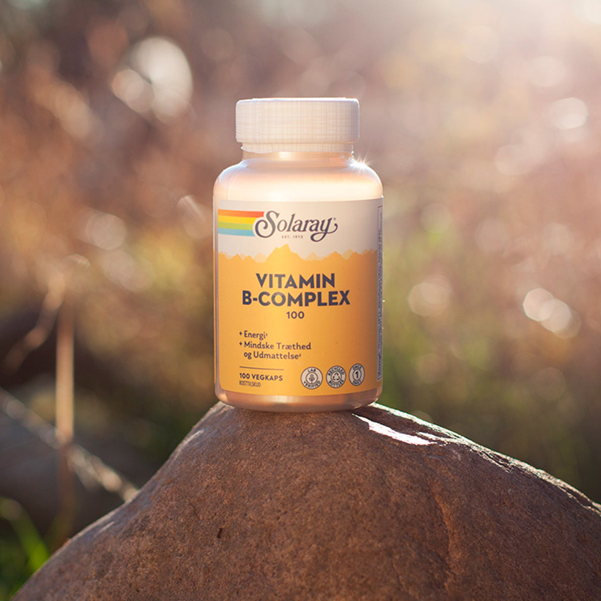 Vitamin B-Komplex 100