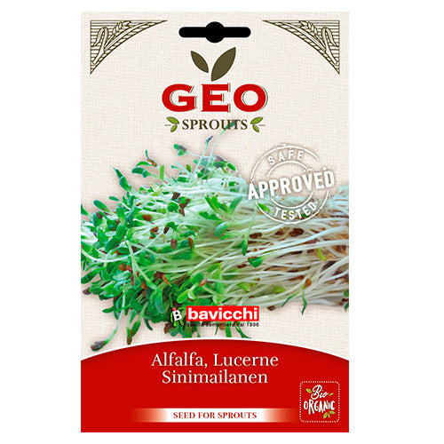 Alfalfa Groddar til Groddning Eko