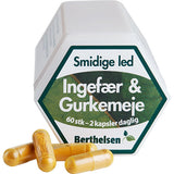 Ingefära och Gurkmeja