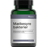 Mezina Mælkesyrebakterier Probiotika