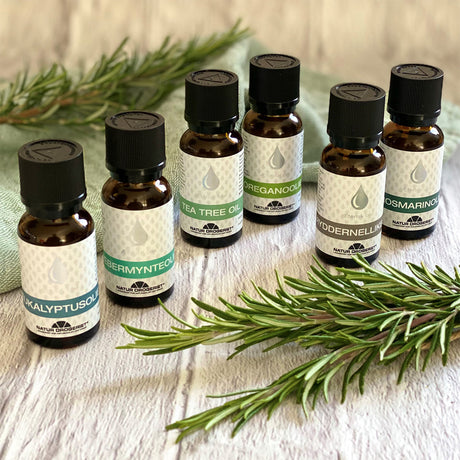 Oregano olja Eterisk