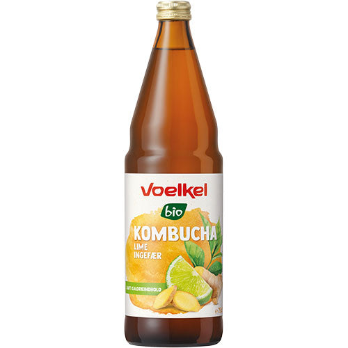 Kombucha Lime - Ingefär EKO