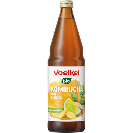 Kombucha Lime - Ingefär EKO