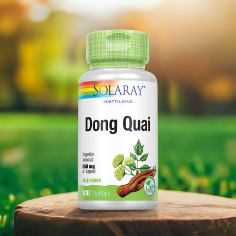 Dong Quai