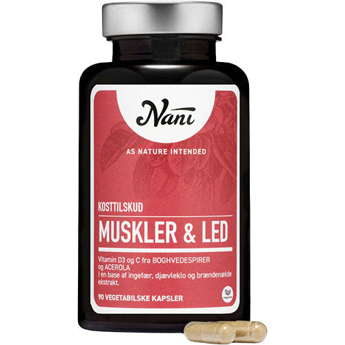 Muskler & leder
