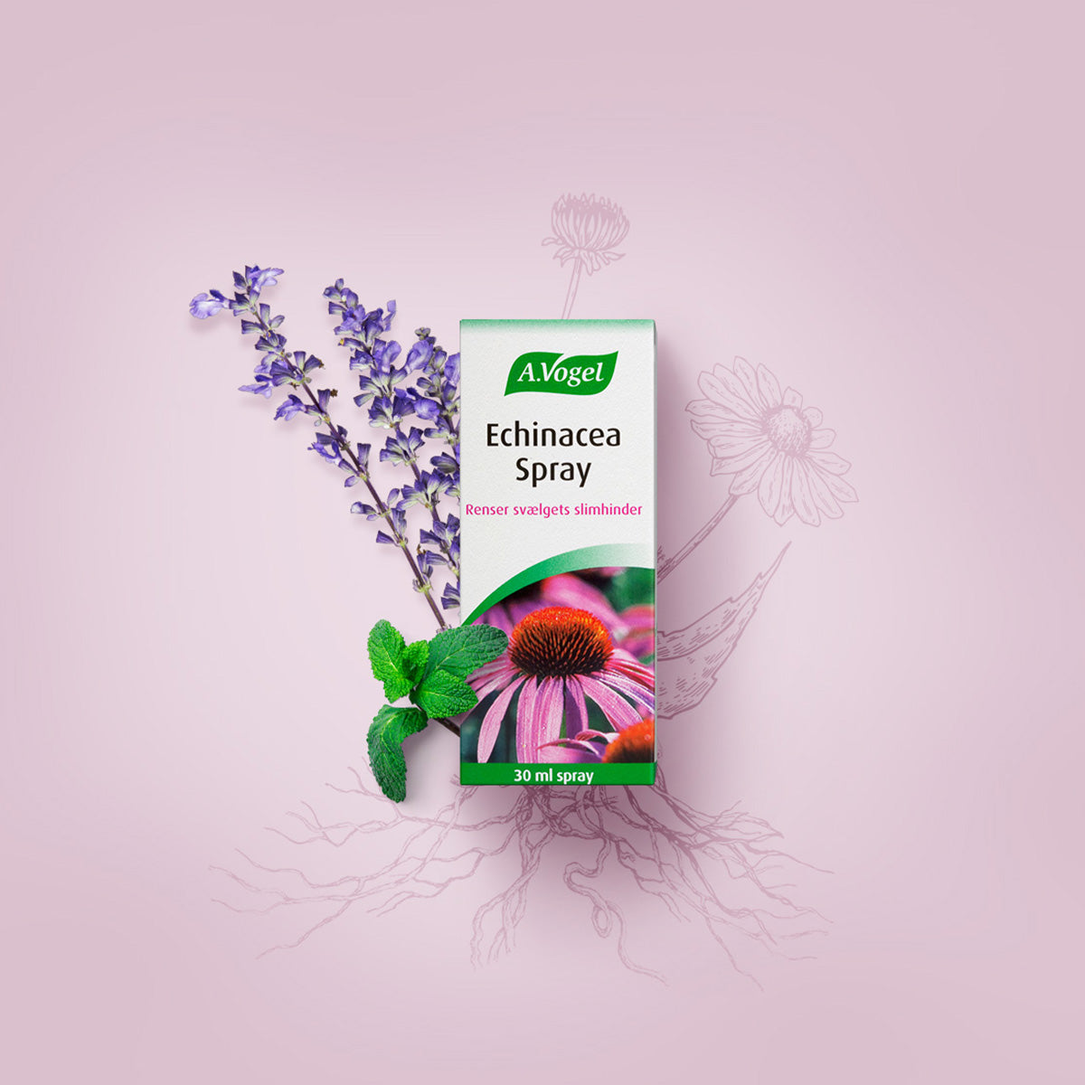 Echinacea spray