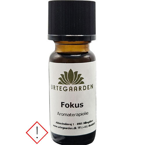 Fokus