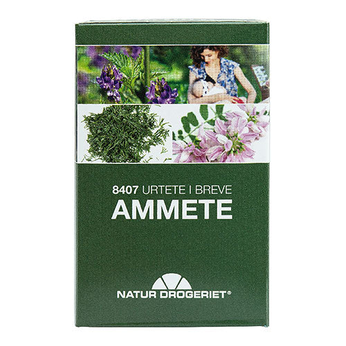 8407 Amningste