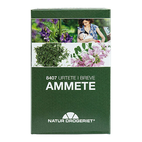 8407 Amningste