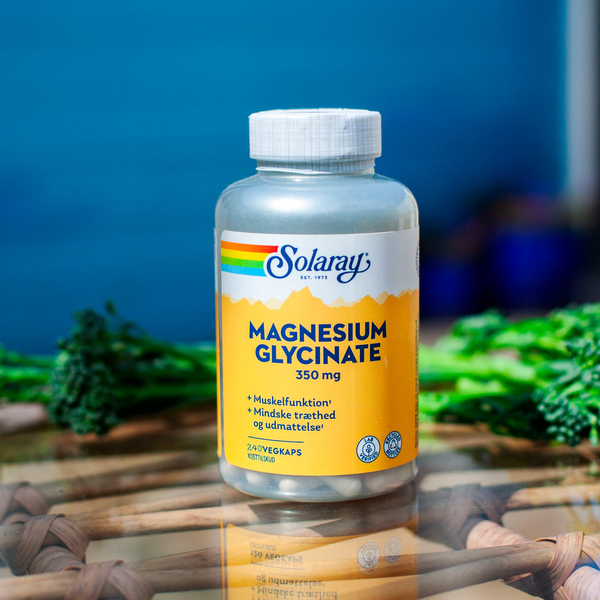 Solaray Magnesium Glycinate | 240 kapslar