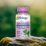SoyaGenistein