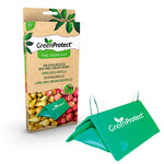 GreenProtect Äppelvecklarfälla