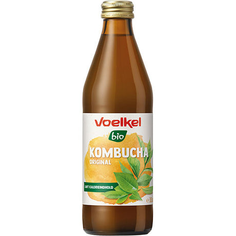 Kombucha Original EKO